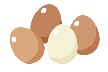 卵のイメージ