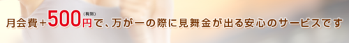 安心バリュープラス