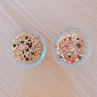 市販品とザ・ヨギーニグラノーラの比較